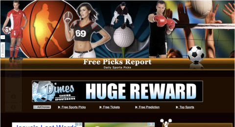 Free Picks Report Reviews